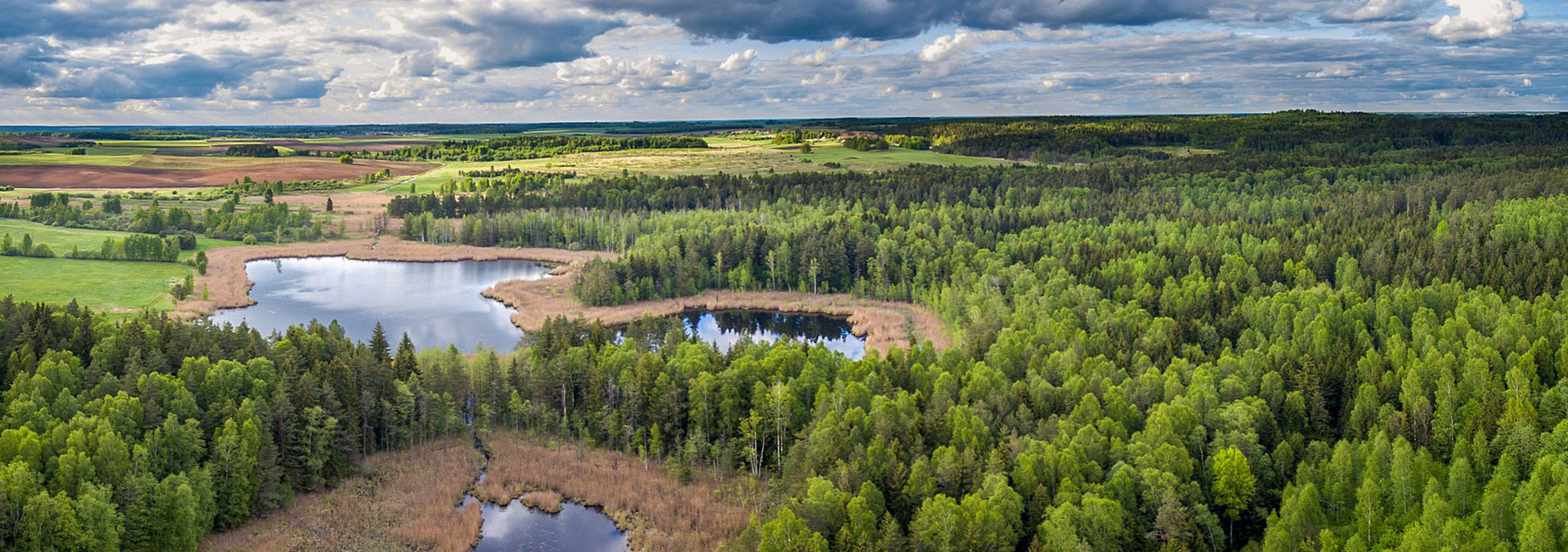 Typical Lithuanian landscape with lakes, swamps and forests.