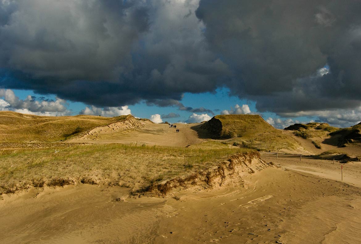 Sand dunes of the Curonian Spit