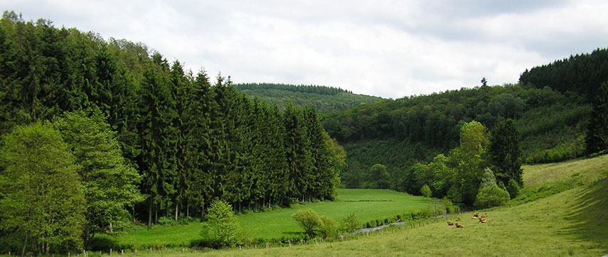 Clerve valley near Alscheid