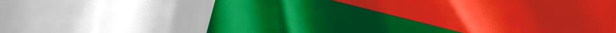 Madagascar Flag detail
