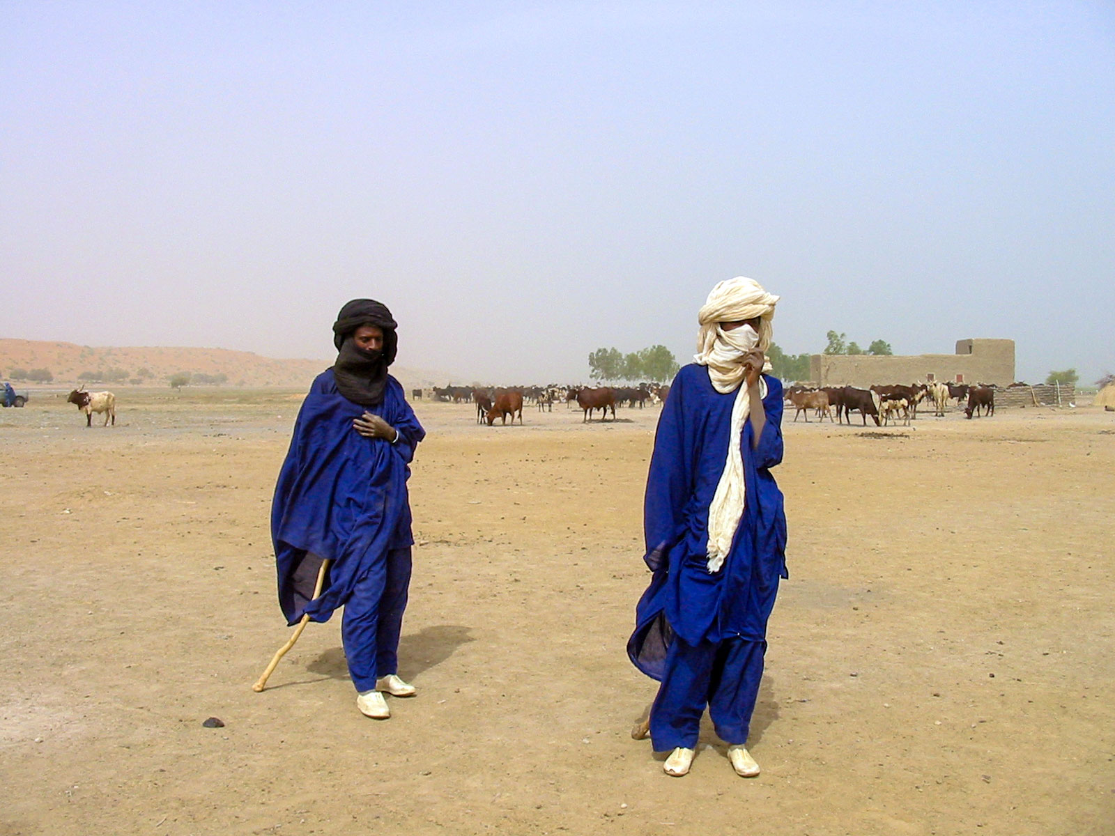 Fulani (Peul) herders in the Gourma area south of Gao city, Mali.