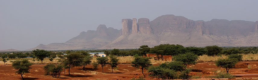 The road to Timbuktu, Sahel, Mali. Acacia trees in the Sahel sub-Saharan savanna ecoregion.