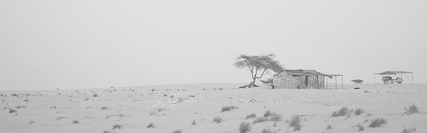 Sahara Desert Mauritania