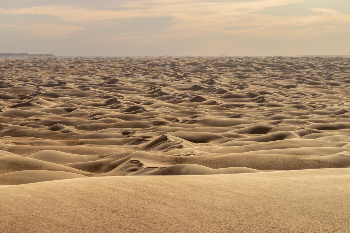 A sea of sand in the Amatlich Erg of Mauritania