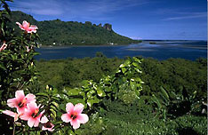 Pohnpei Landscape