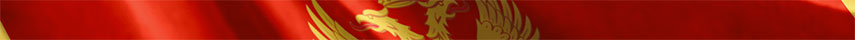 Montenegro  Flag detail