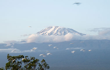 Mount Kilimanjaro