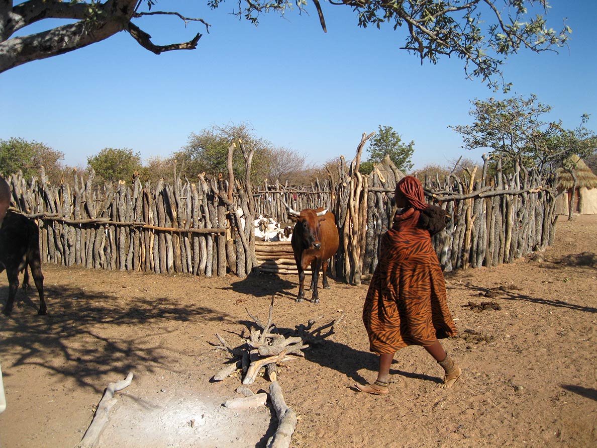 The Himba are indigenous people in northern Namibia.