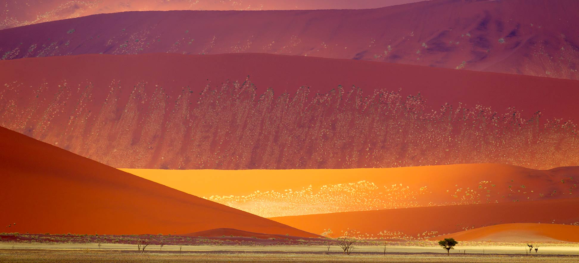 Sand dunes in the Namib-Naukluft National Park in Namibia