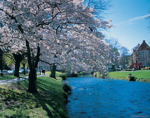 New Zealand - Aotearoa - Country Profile - Nations Online Project