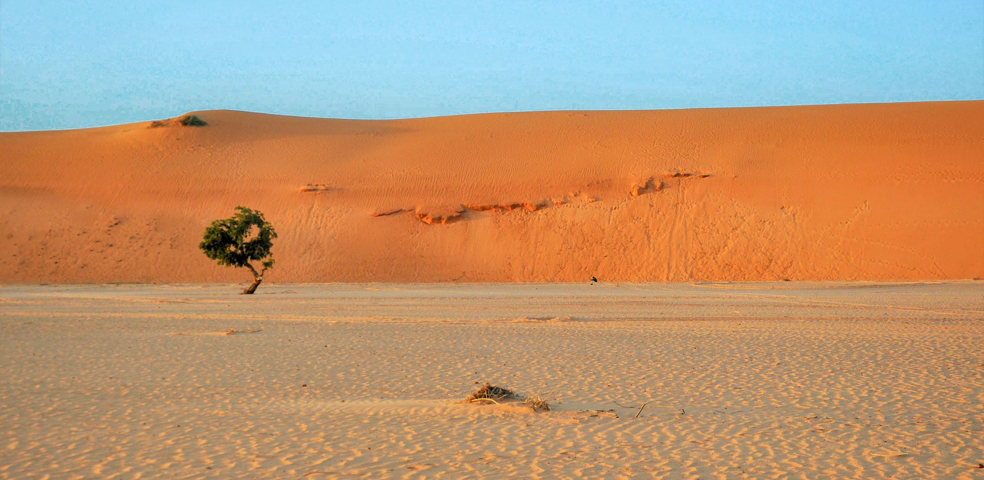 By the Niger River