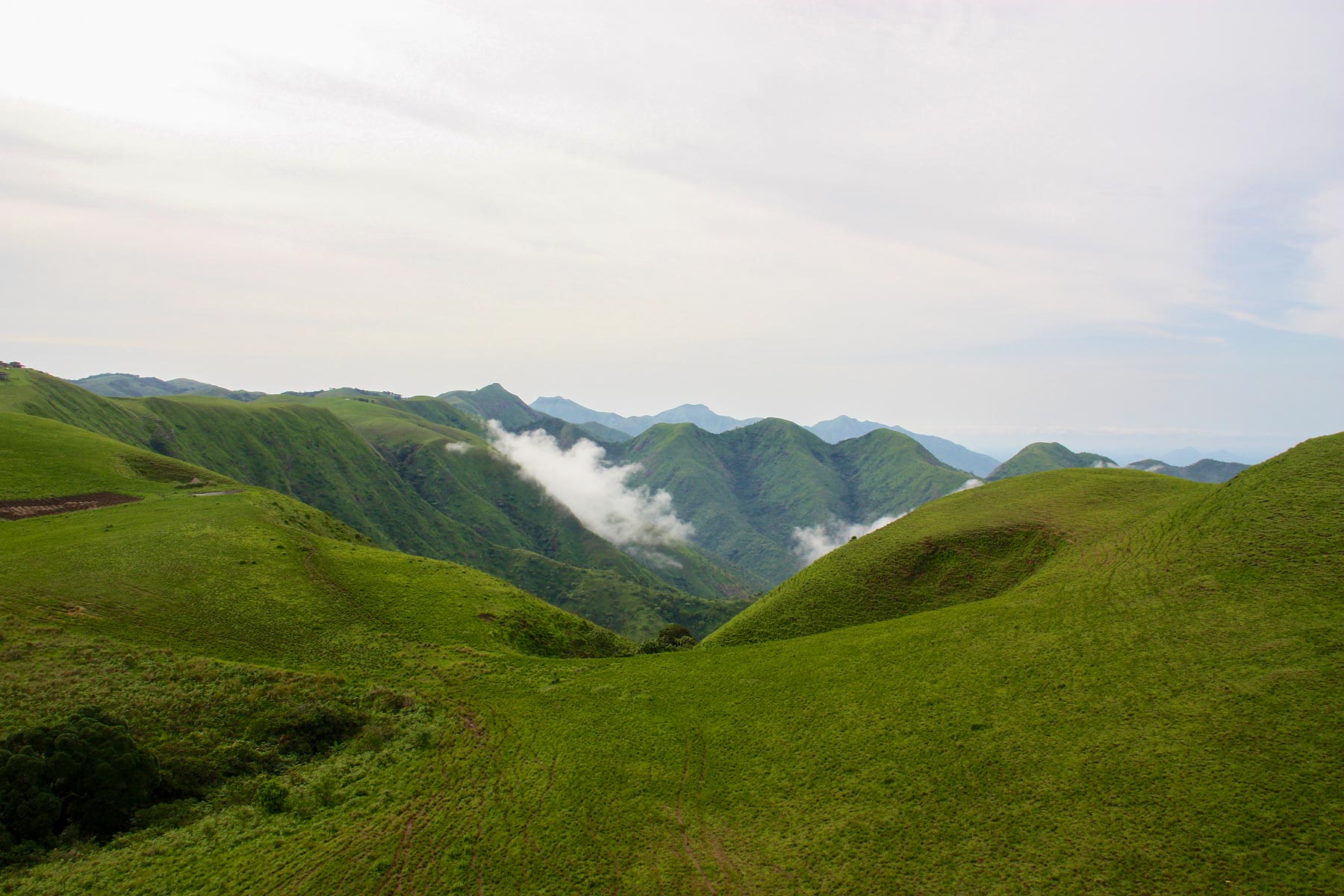 green mountainsides of Obudu, Cross River State, Nigeria