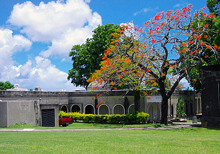 Saipan island, CNMI