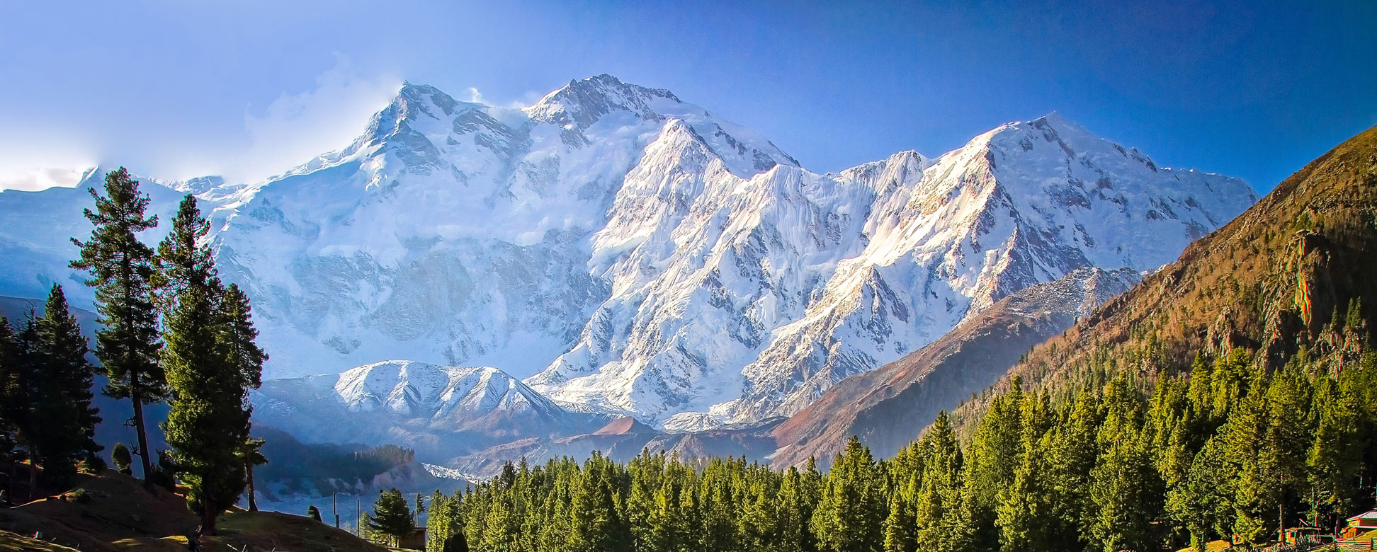 Nanga Parbat (Diamer) seen from Fairy Meadows National Park, Gilgit-Baltistan, Pakistan