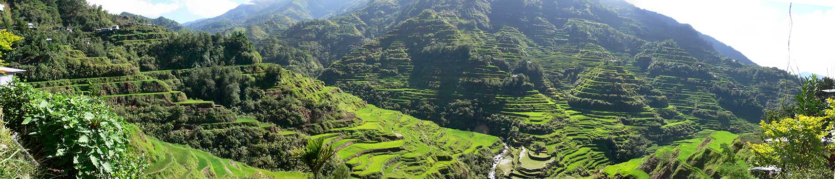 Banaue Rice Terraces, Ifugao Province, Philippines