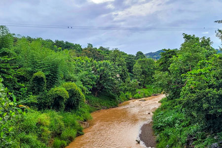 Bayamón River