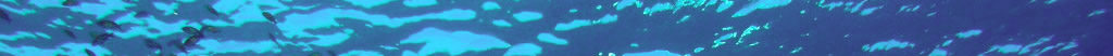 Red Sea water detail 