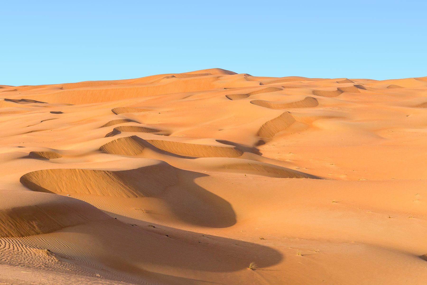 Dunes in the Rub al Khali-desert, Arabian peninsula.