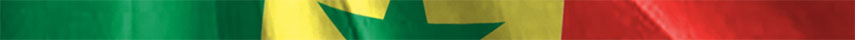 Senegal Flag detail