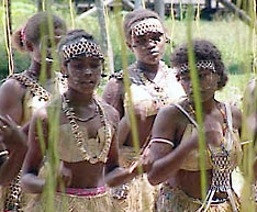 Solomon Islands Indigenous