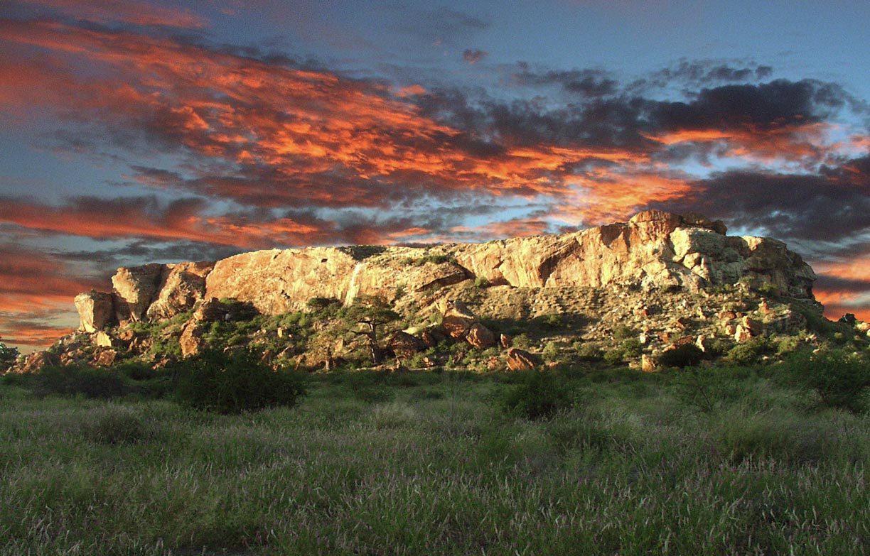 Mapungubwe Hill in Mapungubwe National Park
