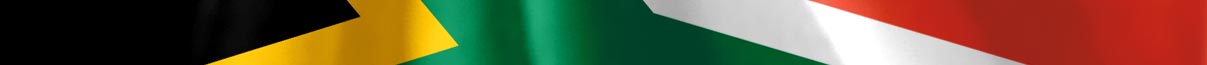 South Africa flag detail