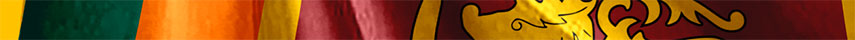 Sri Lanka flag detail