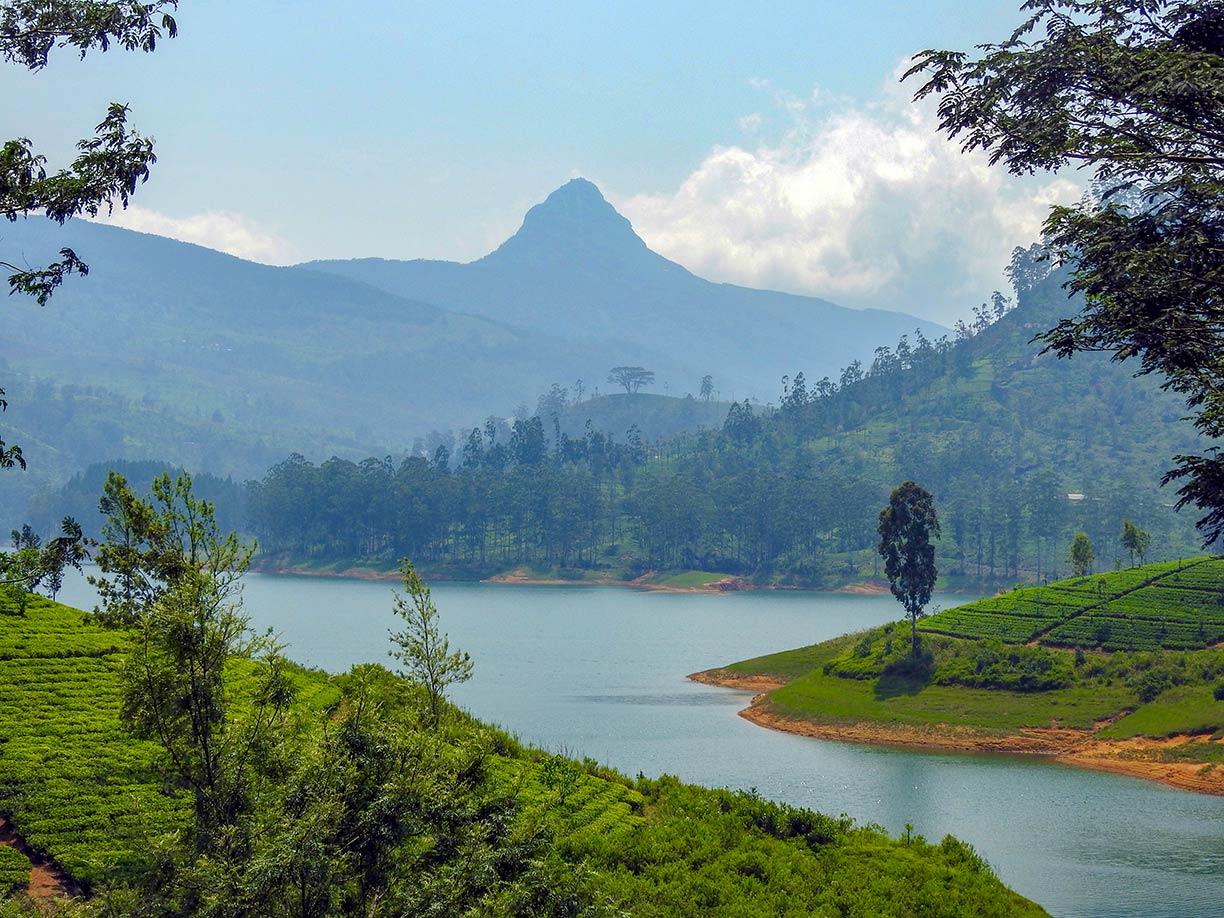 Sri Pada (Adam's peak) in the background, seen from Maskeliya Reservoir, Sabaragamuwa province, Sri Lanka.