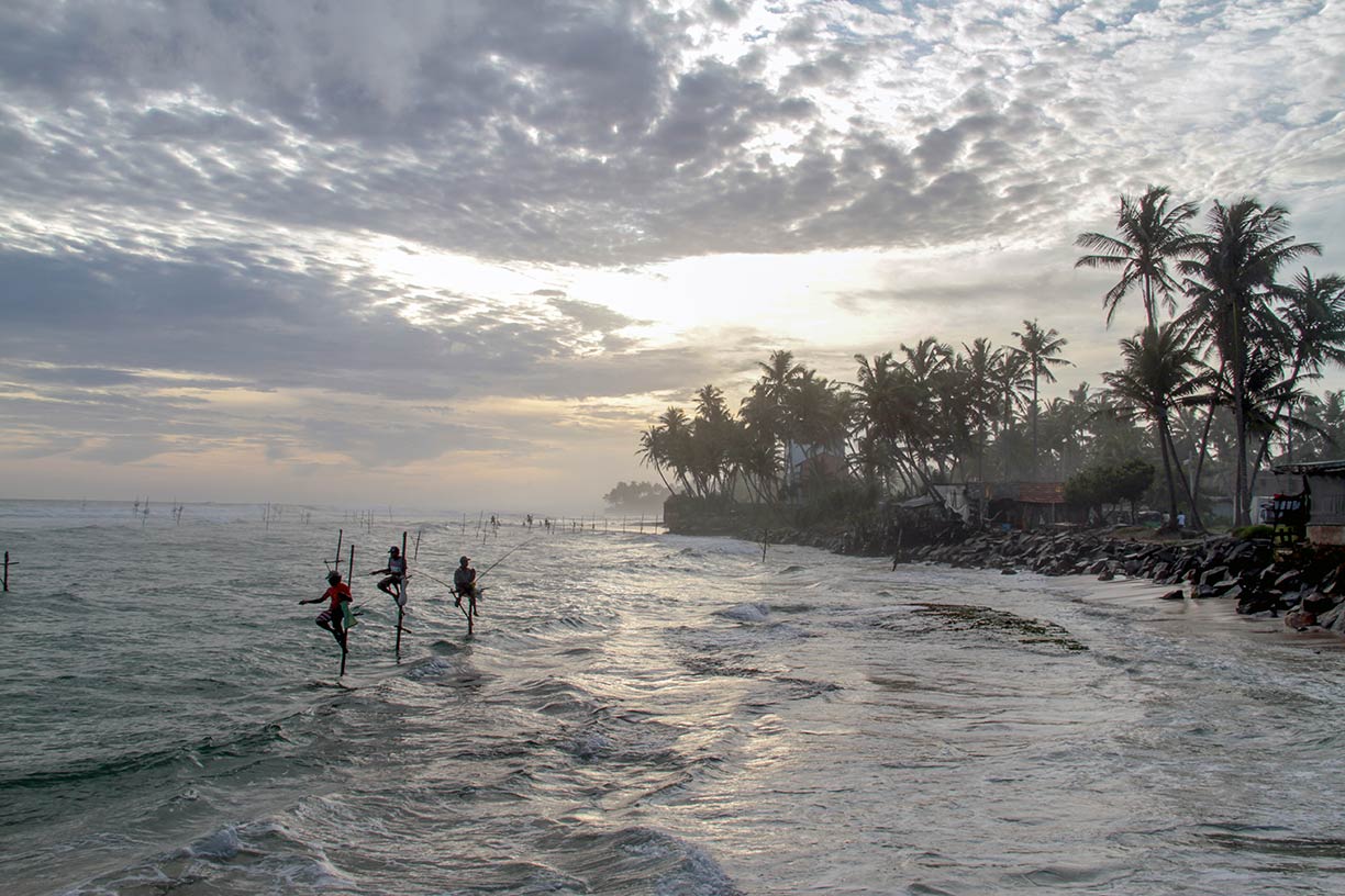 Stilt fishermen sitting on poles at the beach of Galle in 