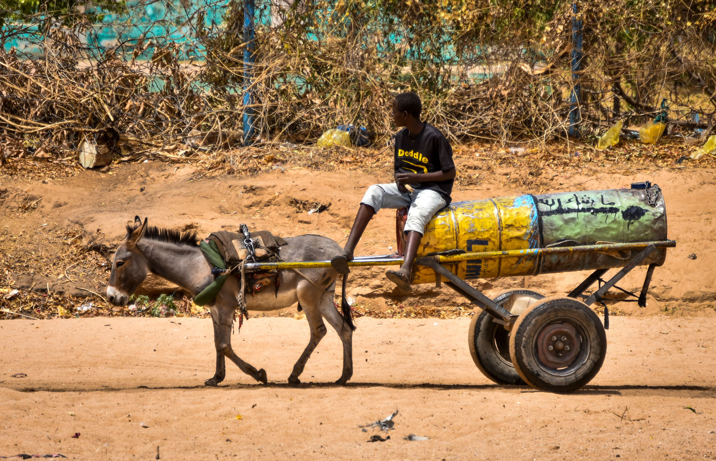 Donkey carts are ubiquitous in Sudan