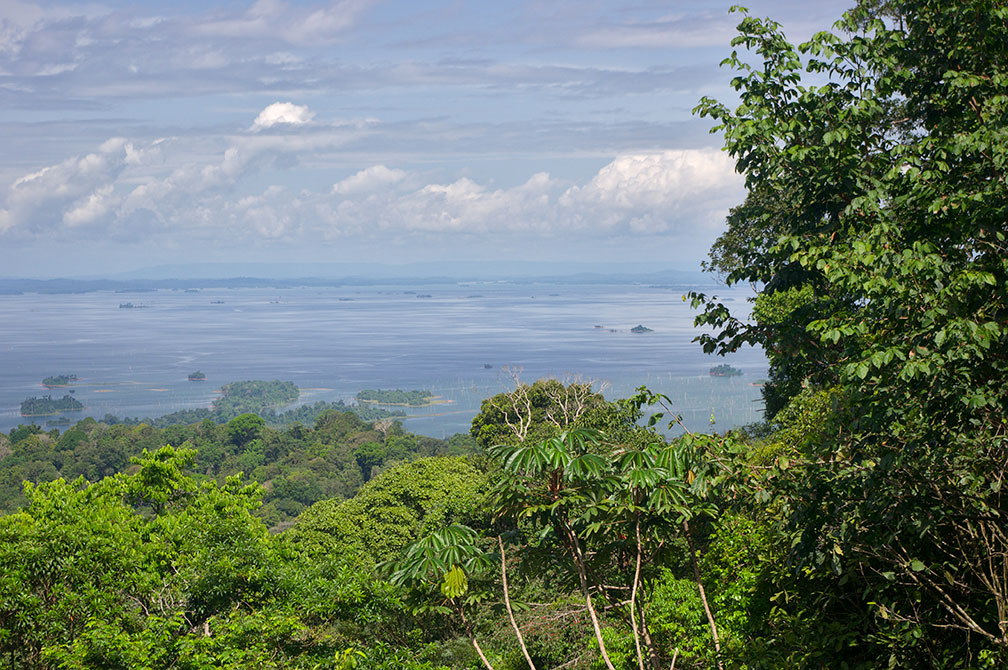 Brokopondo Lake in Brokopondo District, Suriname