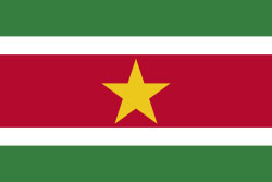 Suriname Flag