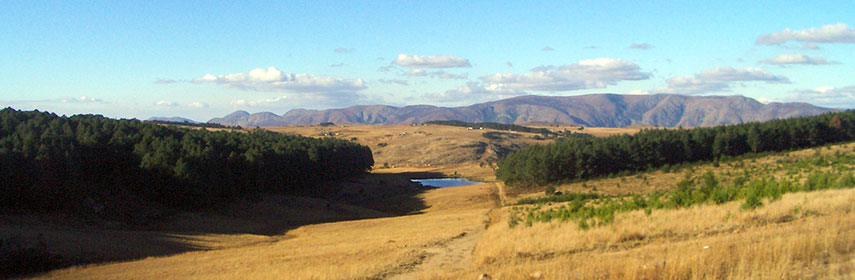 Swaziland landscape