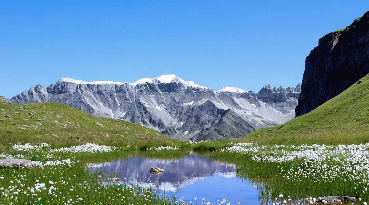 The Glarus thrust at Piz Sardona, Switzerland