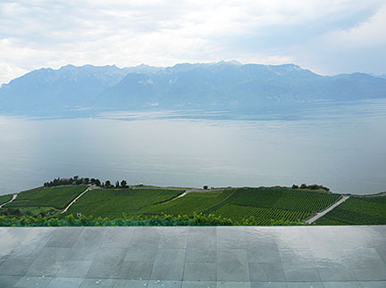 Lac Leman, Swand