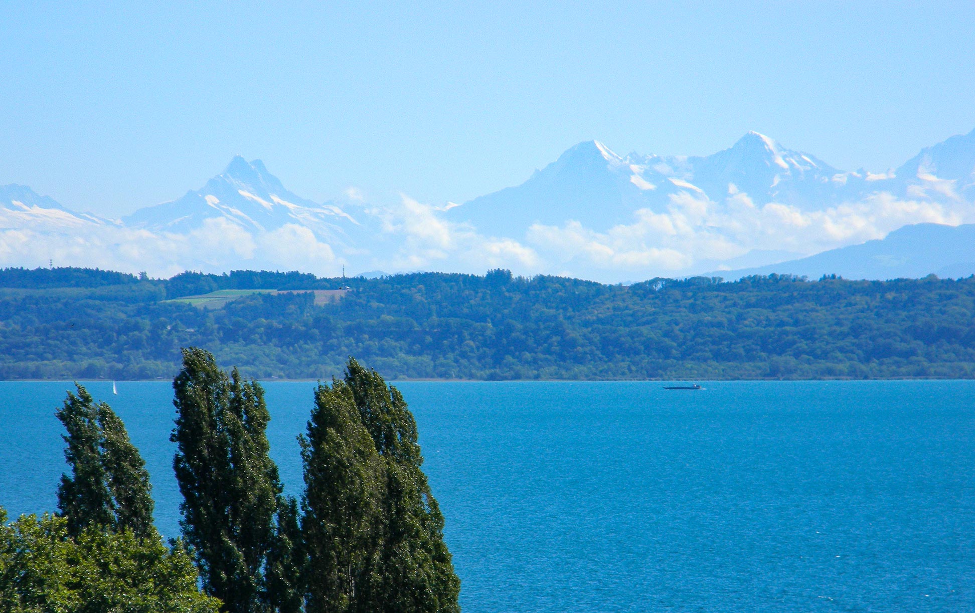 Lake Biel and Swiss Alps