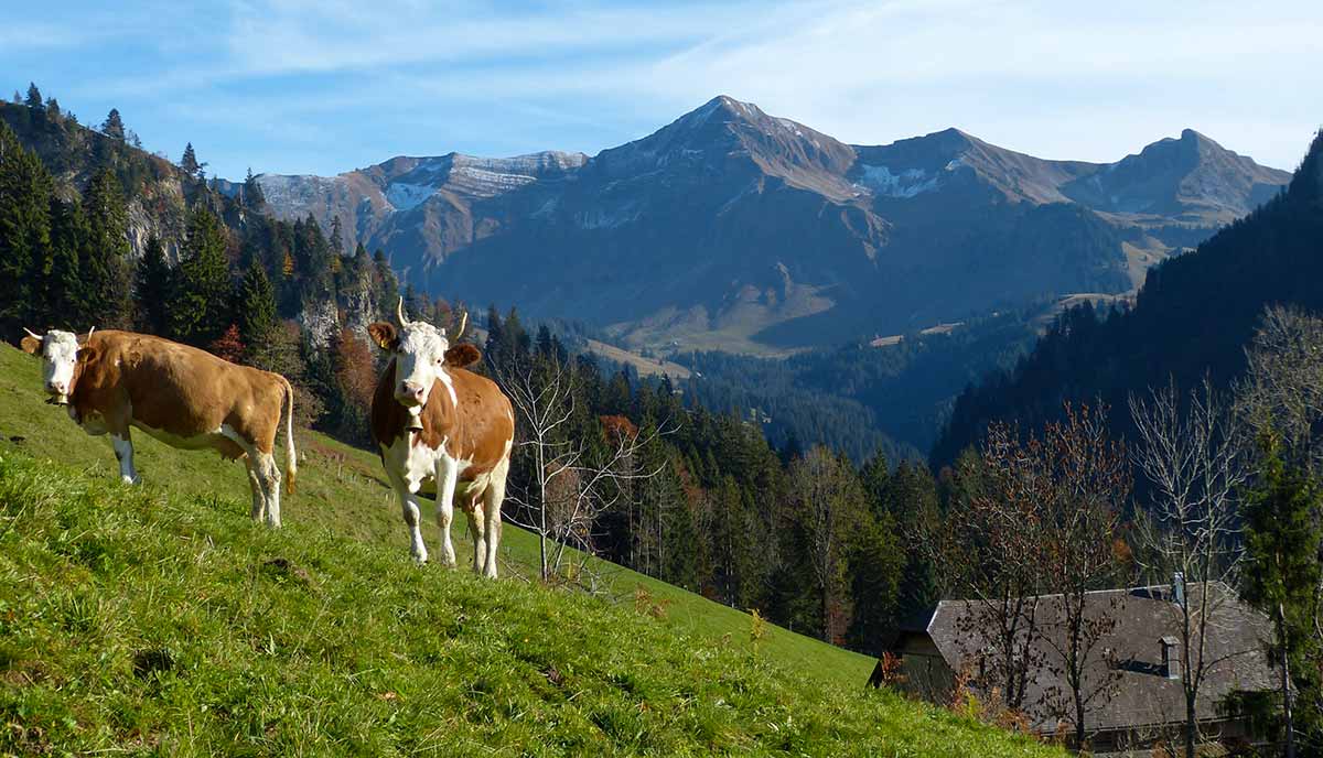 Marbachegg on the edge of the Biosphere Entlebuch, Switzerland