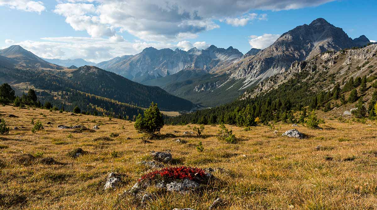 Munt Buffalora, Piz dal Fuorn and Piz Nair in the Swiss National Park