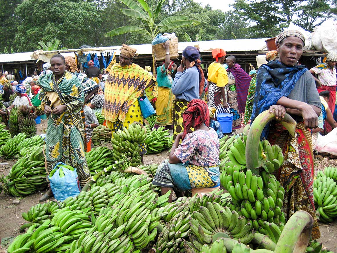 Market scene in Tengeru, Tanzania