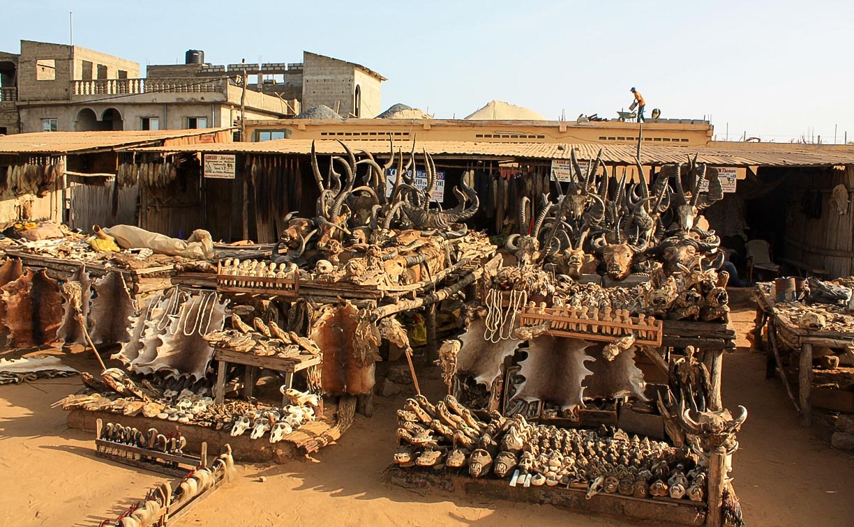 Akodésséwa voodoo market