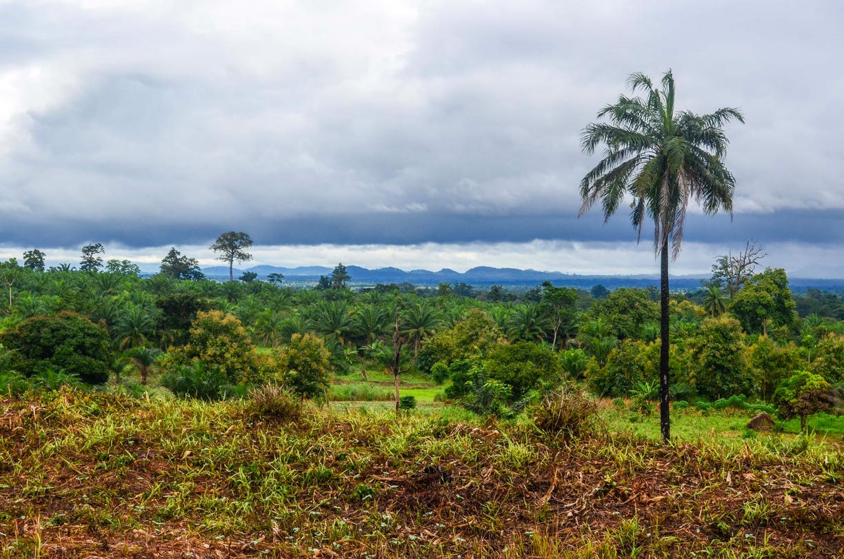 Landscape of the Plateaux Region near Amou Oblo, in southwestern Togo