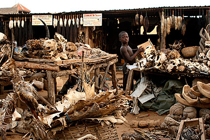 Lomé Voodoo fetish market