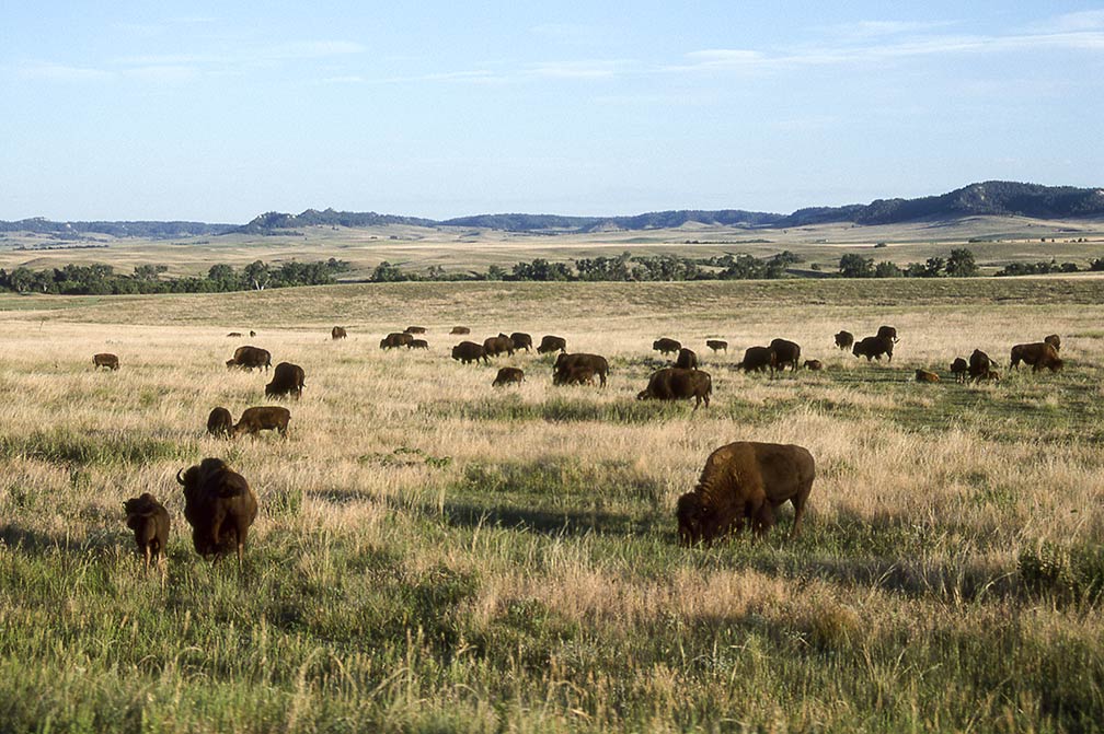 Map Of The State Of Nebraska Usa Nations Online Project