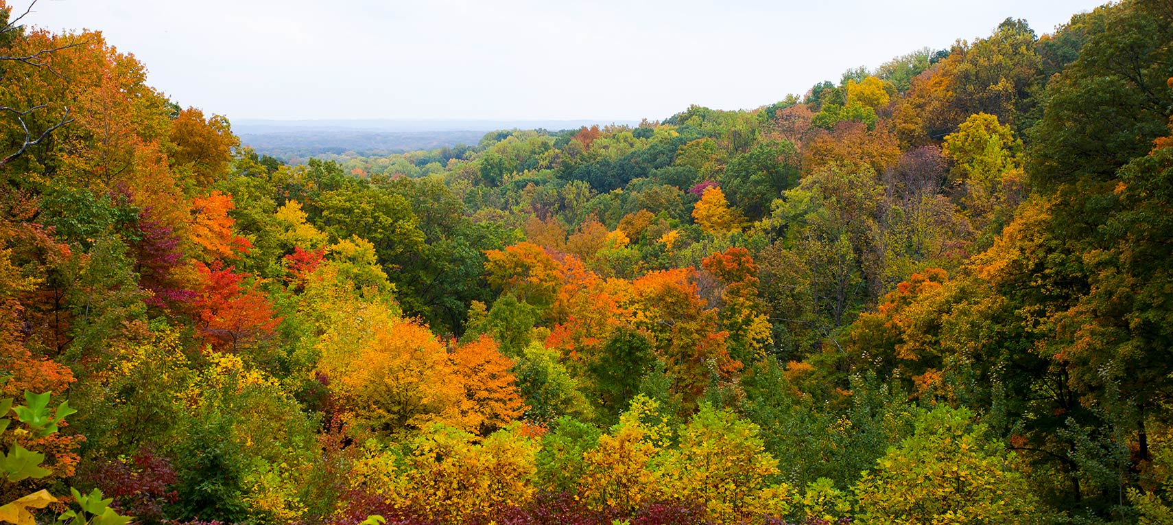 Fall season in Brown County State Park, Indiana