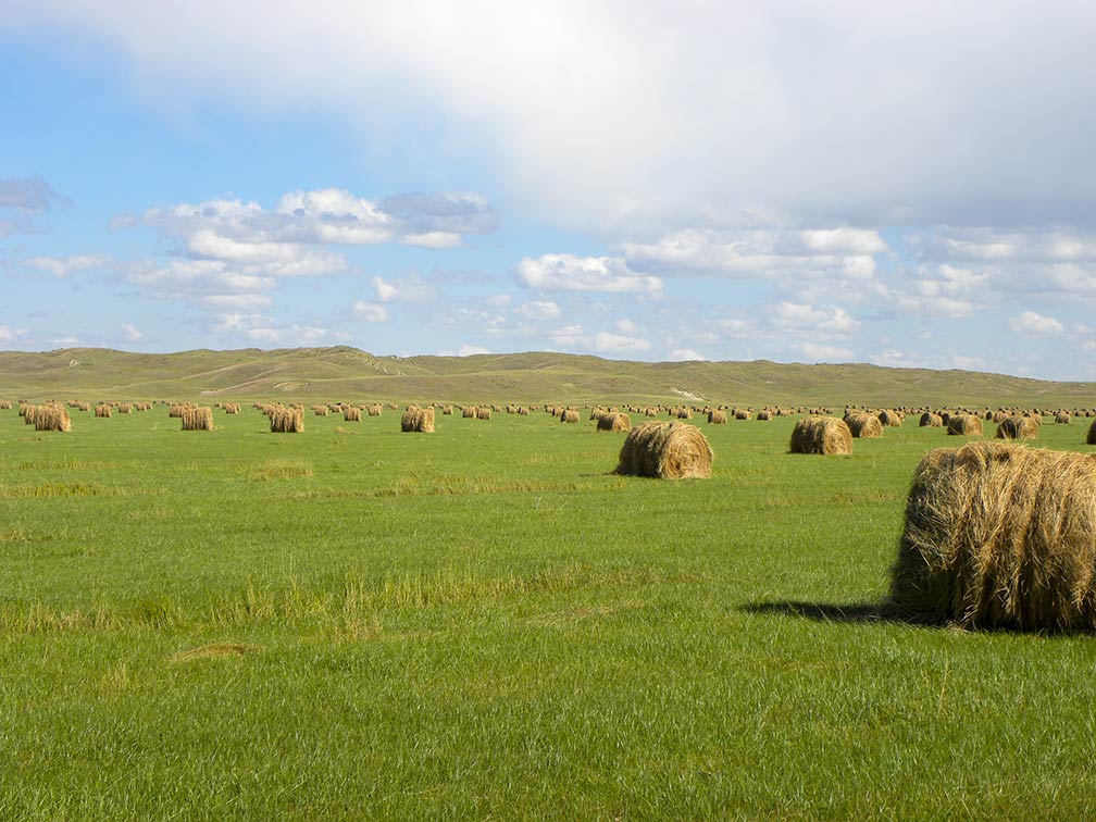 Reference Maps of Nebraska, USA Nations Online Project