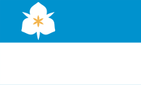 Salt Lake City, Utah Flag