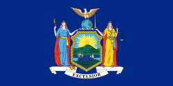 State of New York Flag