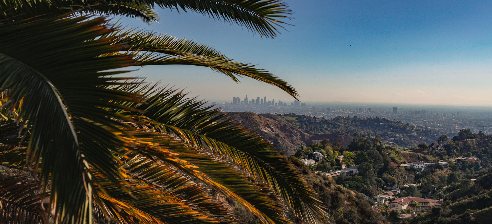 View of Downtown Los Angeles from Hollywood Hills, California