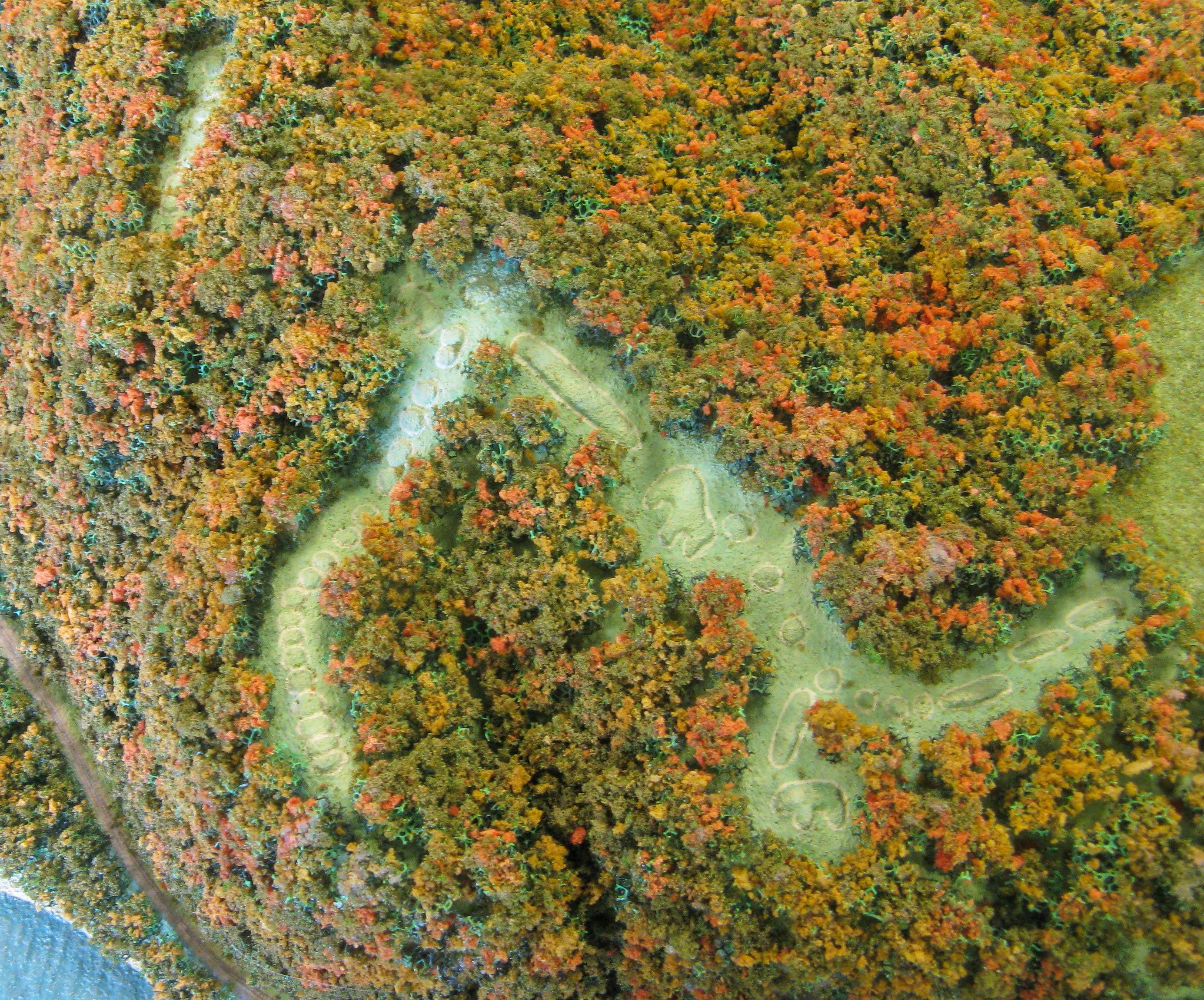 Aerial View of the Effigy Mounds in Allamakee County of Iowa