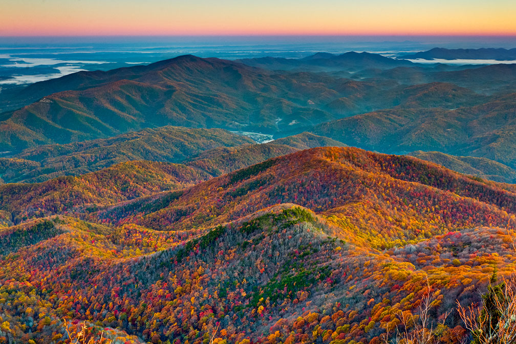 Forest canopy, Newfound Gap mountain pass in the Great Smoky Mountains National Park